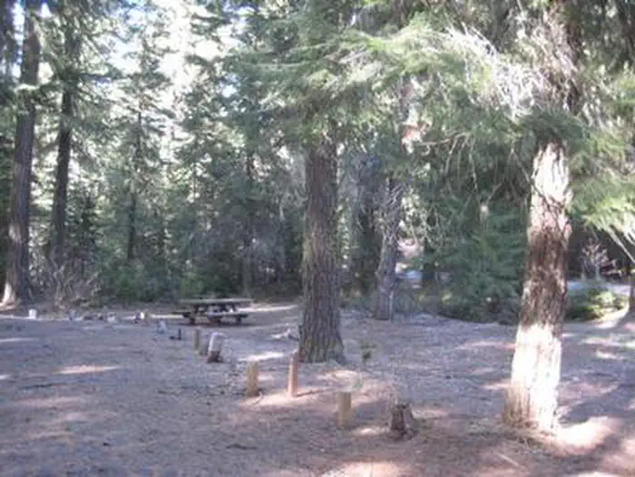 NORTH FORK CAMPGROUND (OR) photo 4