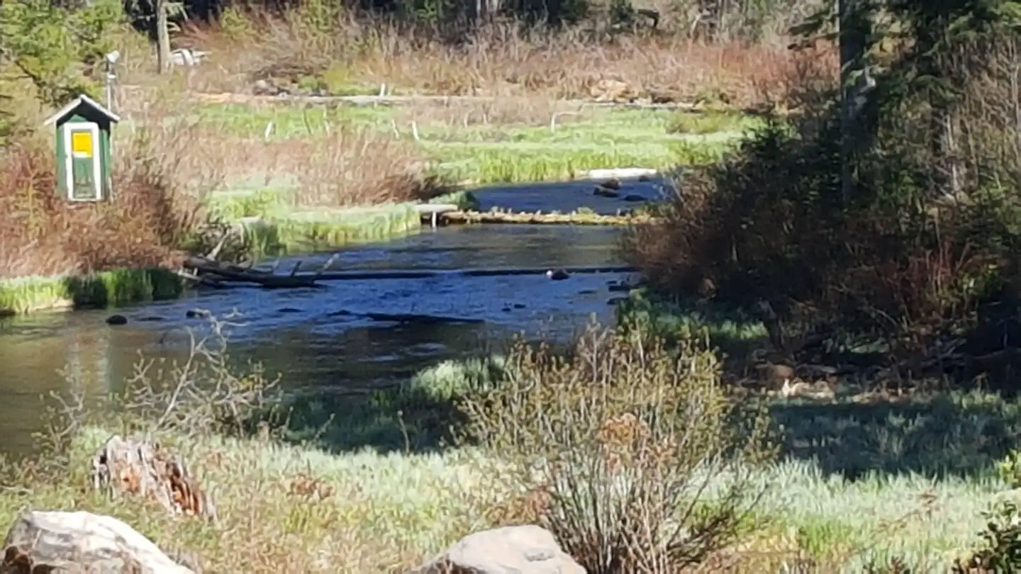 NORTH FORK CAMPGROUND (OR) photo 5