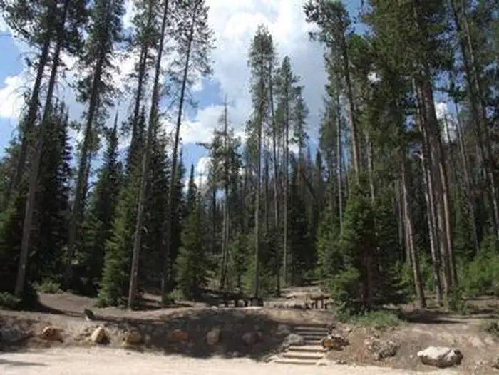 NORTH FORK CAMPGROUND - St. CHARLES CANYON photo 5