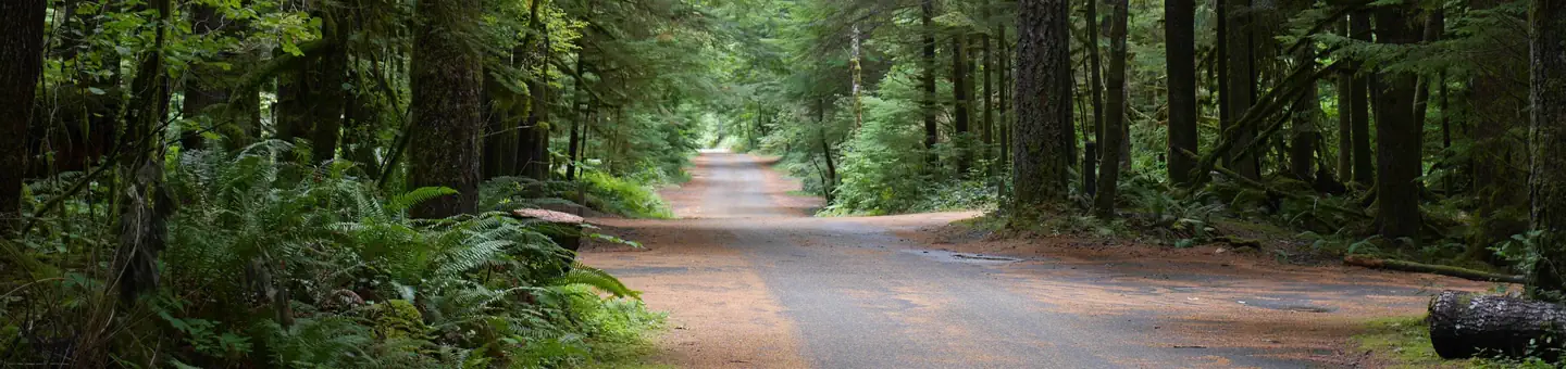North Fork Campground (WA) photo