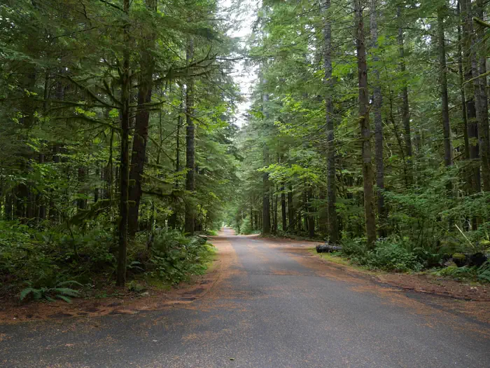 North Fork Campground (WA) photo 5
