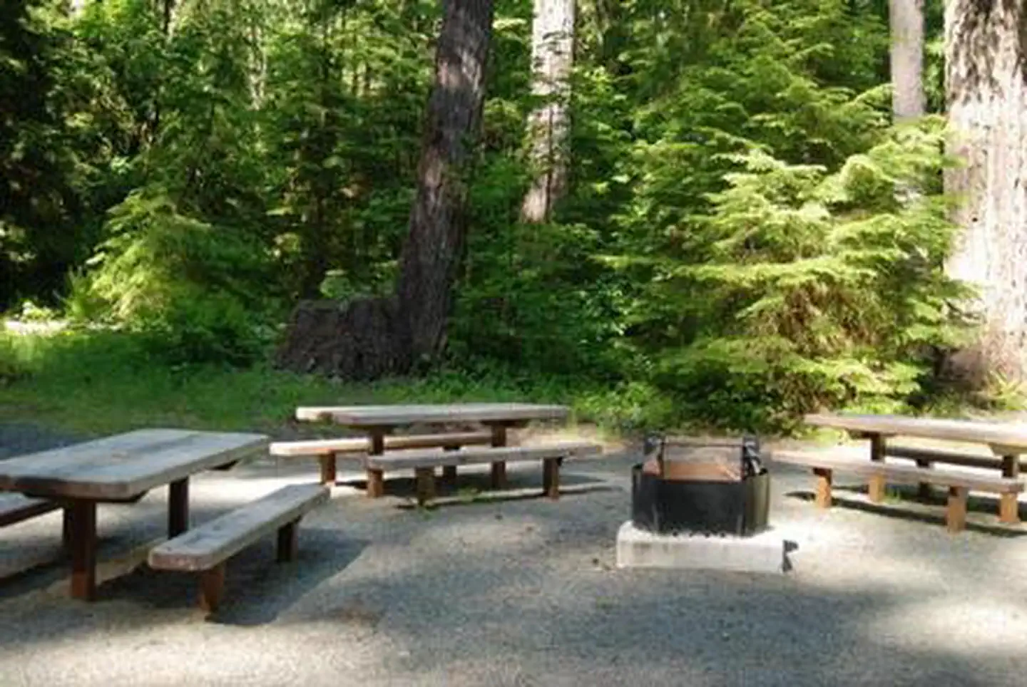 North Fork Elk Group Camp photo