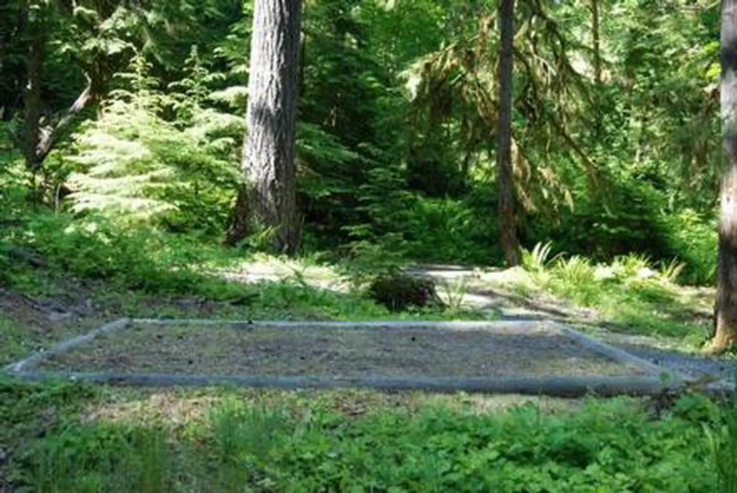 North Fork Elk Group Camp photo 2
