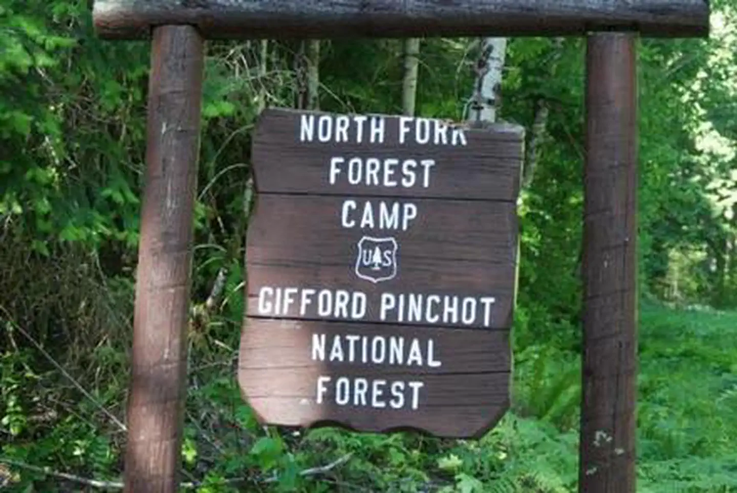 North Fork Elk Group Camp photo 3
