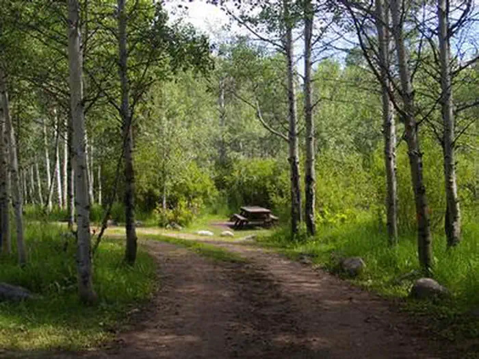 NORTH FORK (ID) photo 3