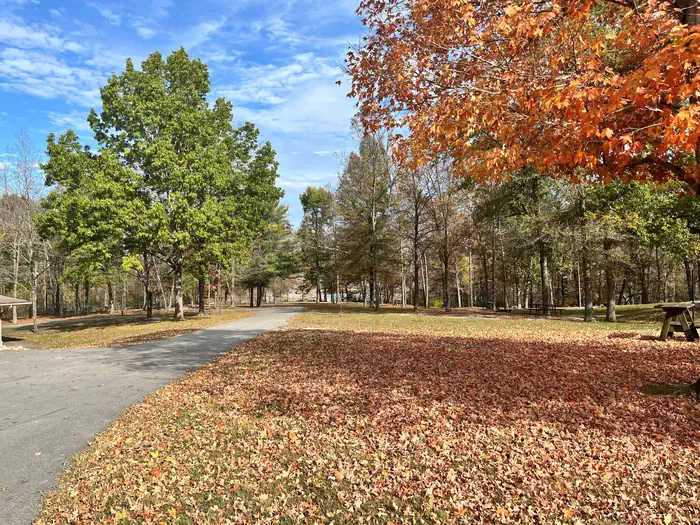 NORTH FORK (KY) photo