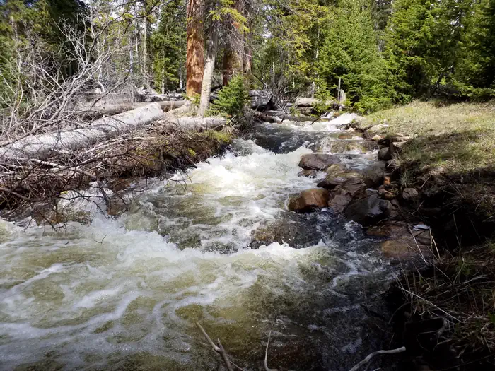 NORTH FORK (WY) photo 2