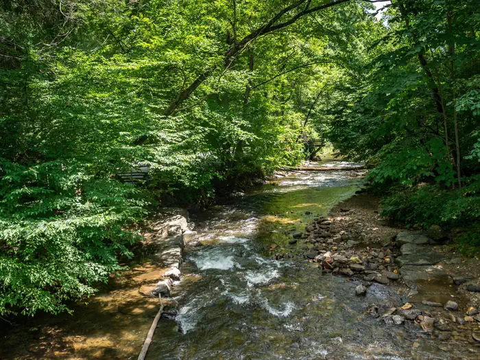 NORTH MILLS RIVER photo 2