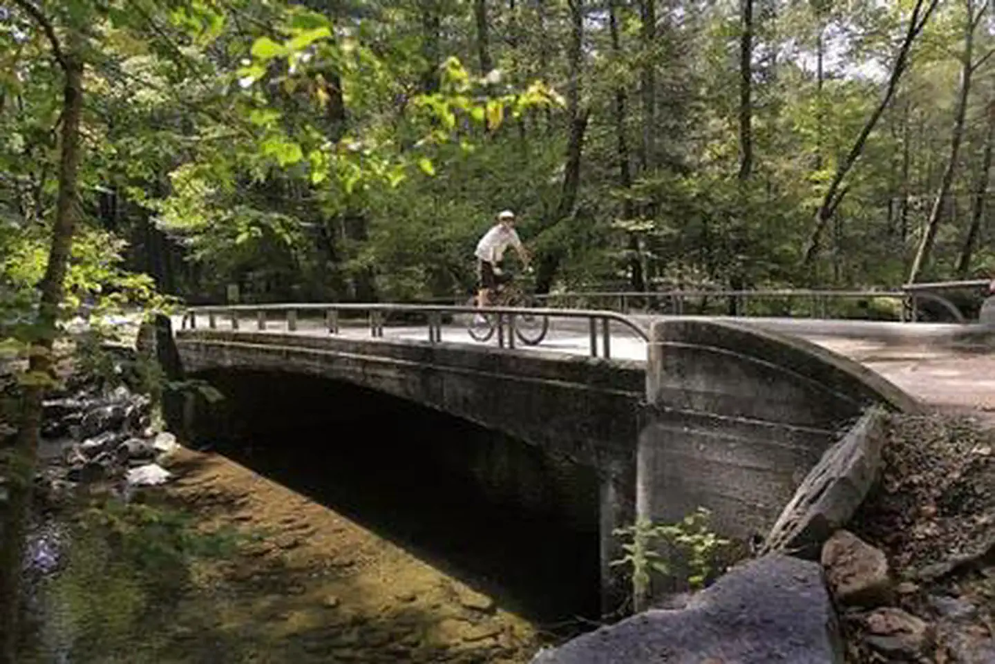 NORTH MILLS RIVER photo 5