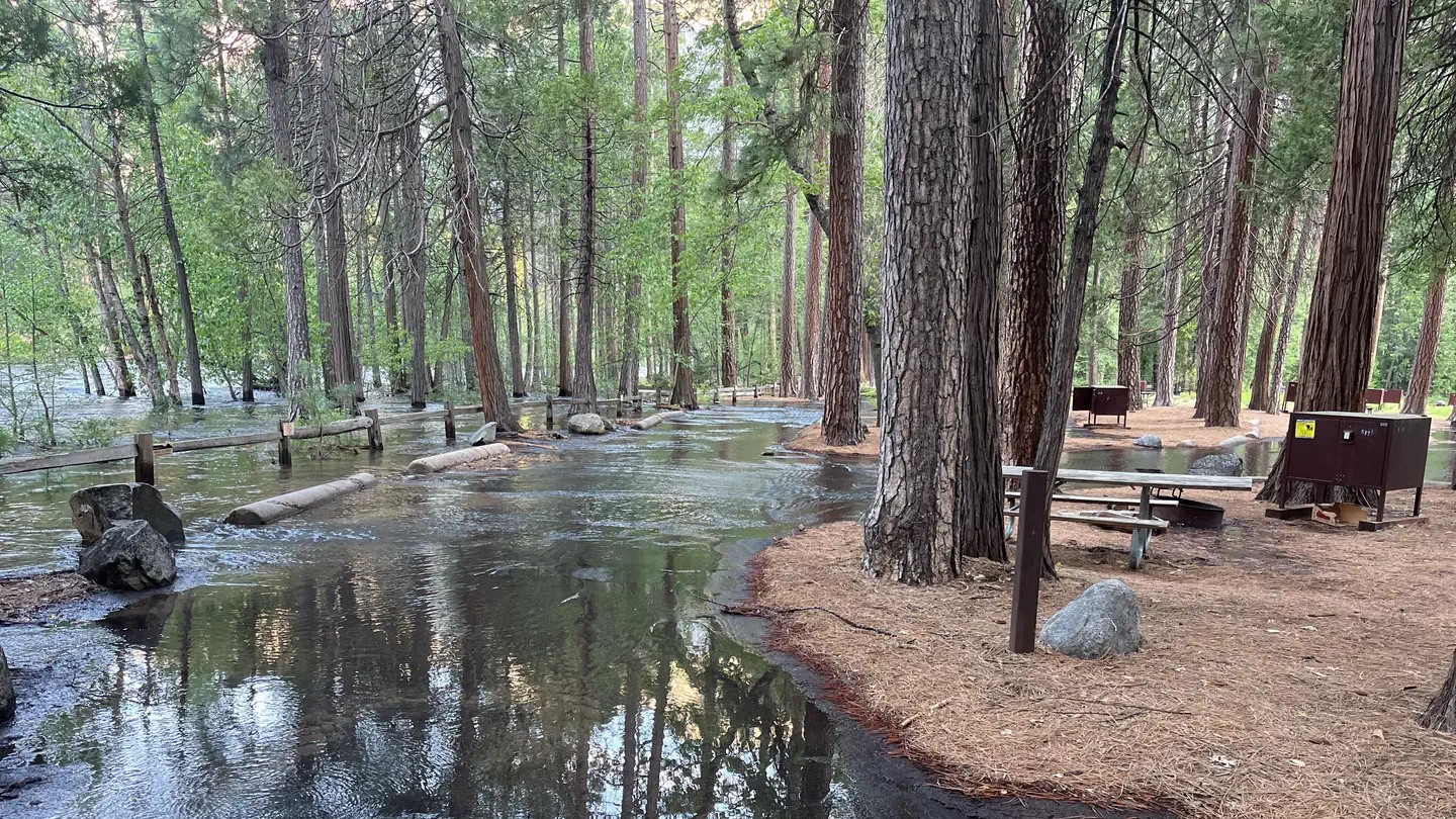 North Pines Campground photo