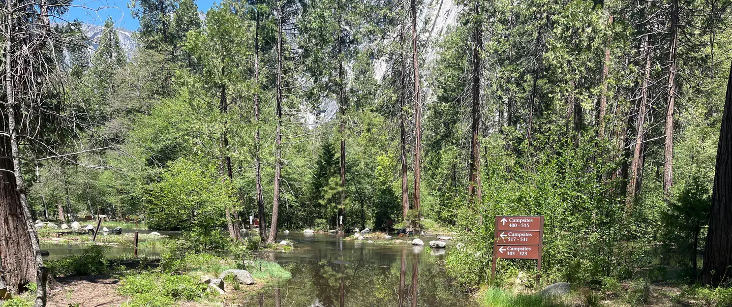 North Pines Campground photo 2