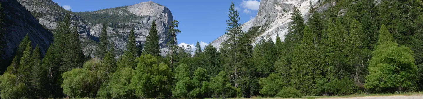 North Pines Campground photo 3