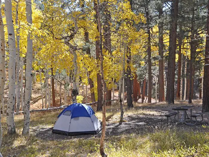 North Rim Campground (AZ) photo 5