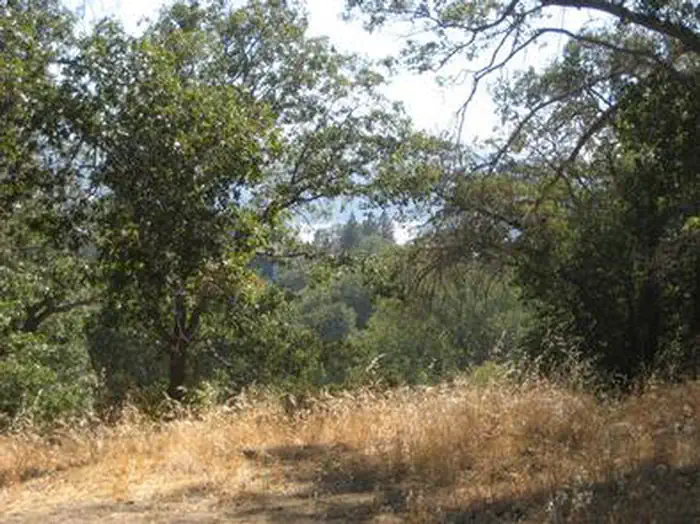 NORTH SHORE (CA) photo 4