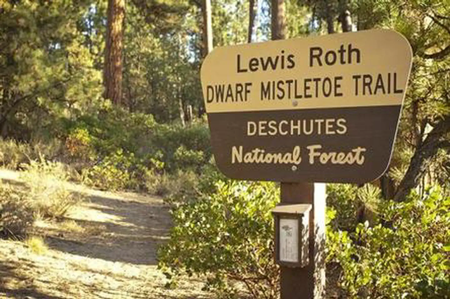 NORTH TWIN LAKE CAMPGROUND photo 2
