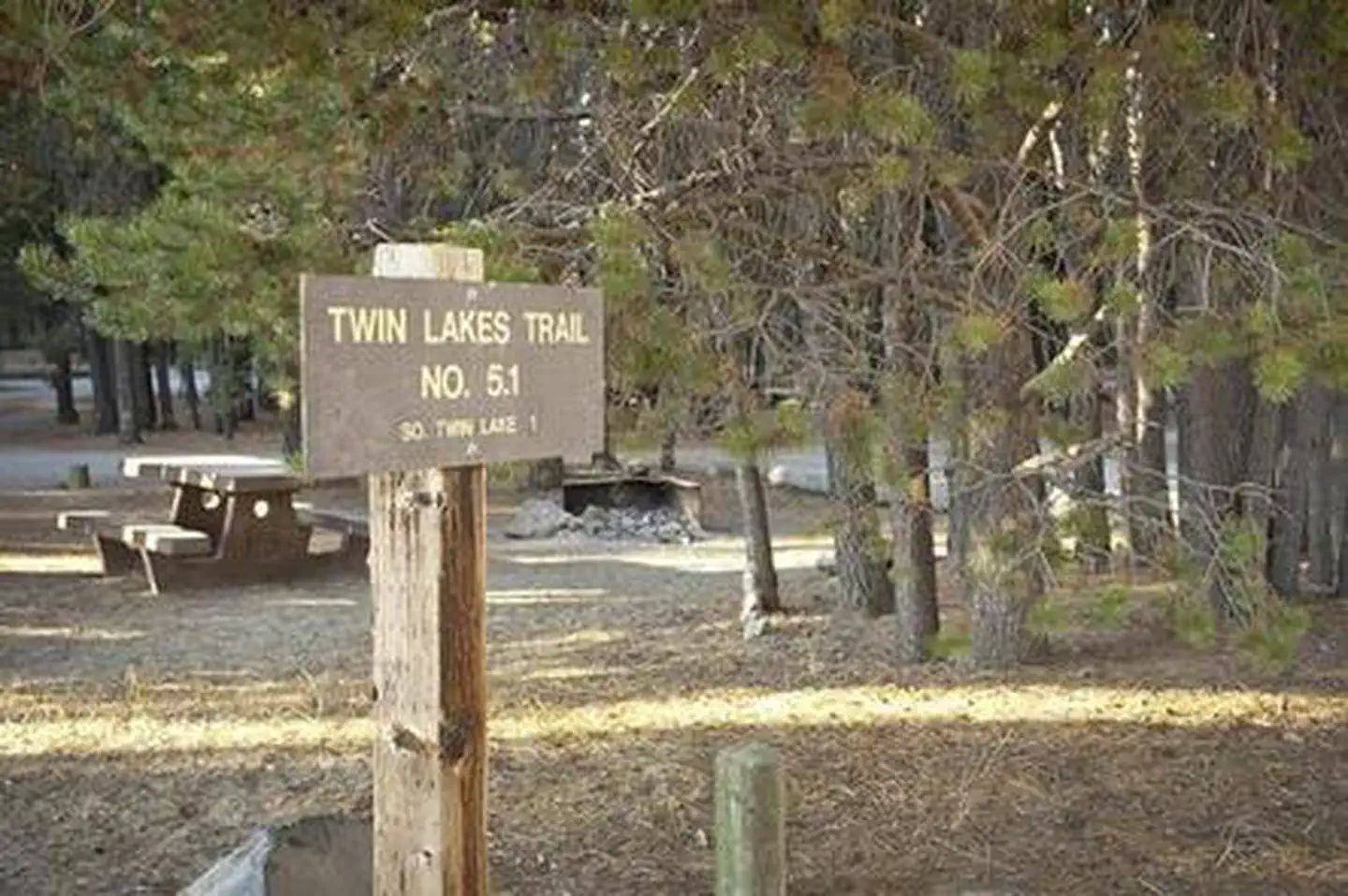 NORTH TWIN LAKE CAMPGROUND photo 4