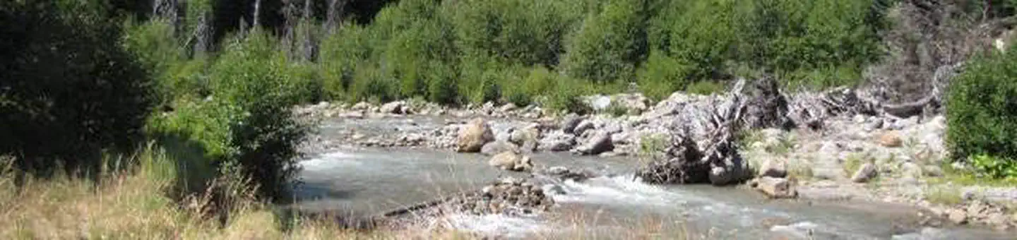NOTTINGHAM CAMPGROUND photo