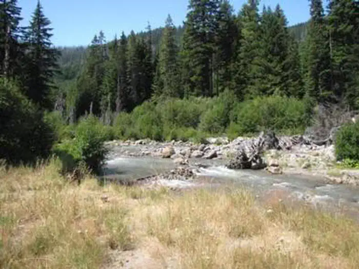 NOTTINGHAM CAMPGROUND photo 5