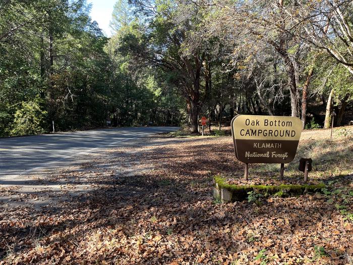 OAK BOTTOM CAMPGROUND photo 3