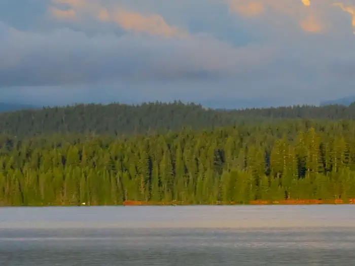 Oak Fork Campground (Timothy Lake, OR) photo 2