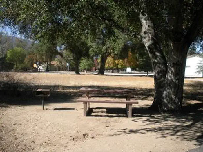 OAK GROVE CAMPGROUND photo 5