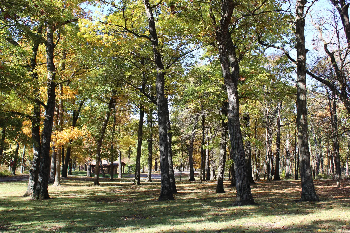 OAK GROVE PICNIC AREA photo 2