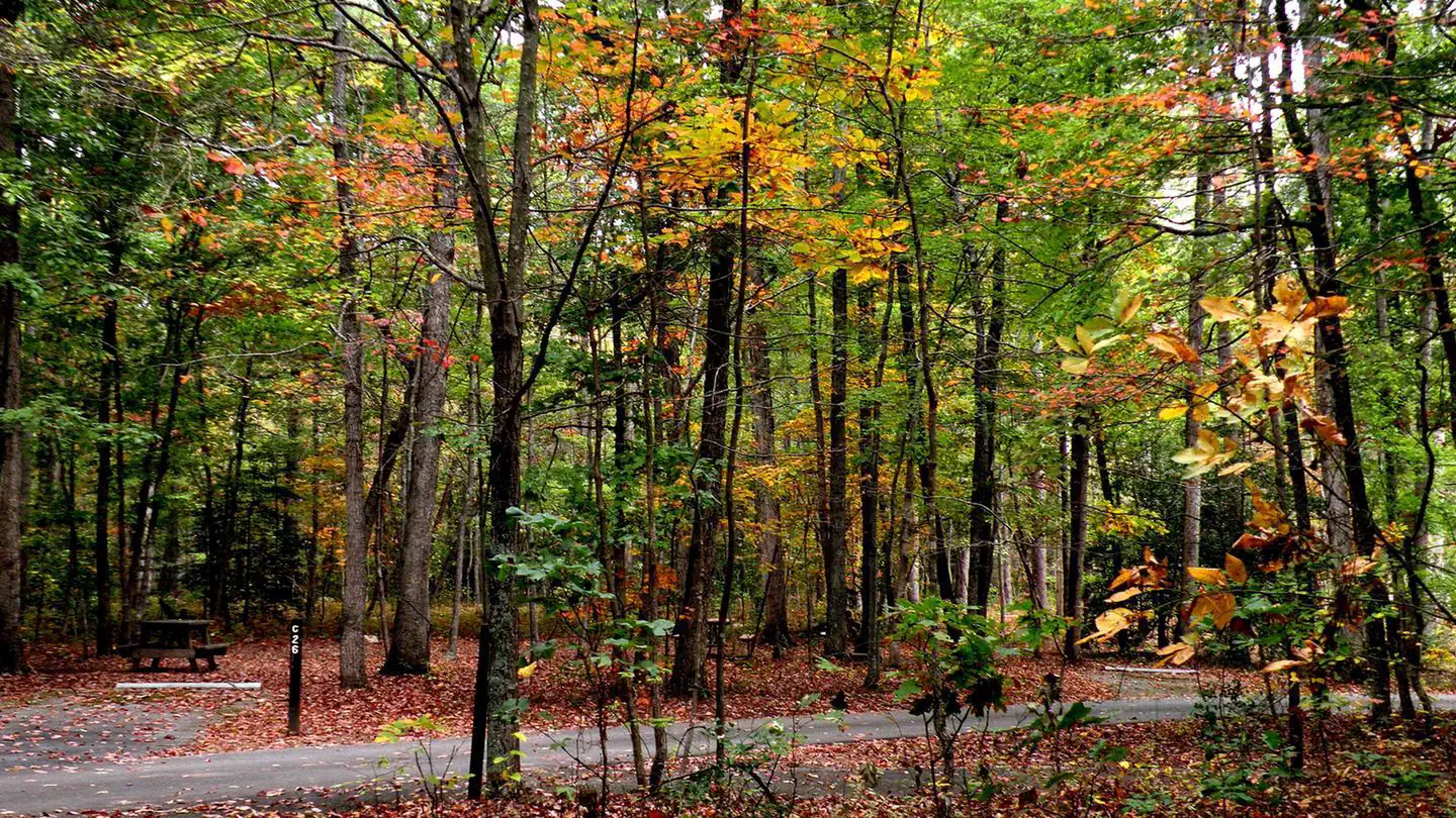 OAK RIDGE CAMPGROUND photo
