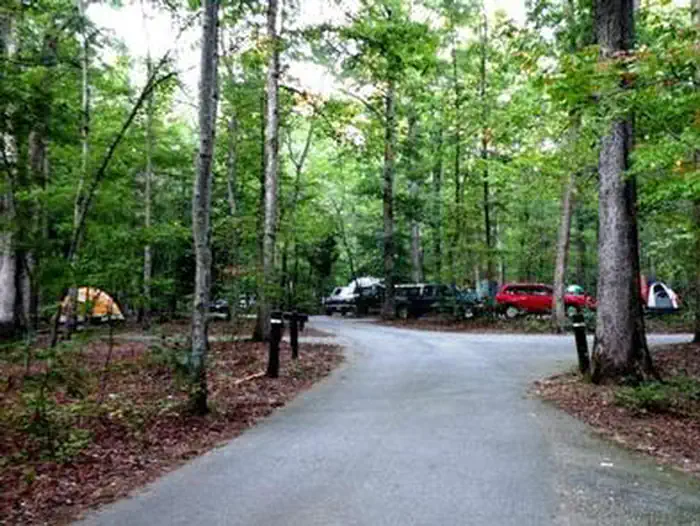 OAK RIDGE CAMPGROUND photo 5