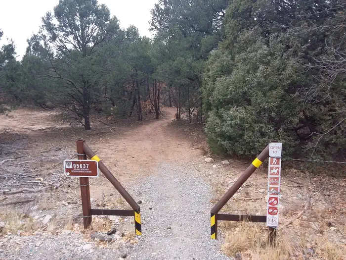 Oak Yucca and Locust Group Picnic Sites photo 5
