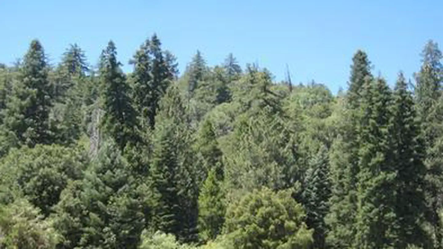 OBSERVATORY CAMPGROUND photo