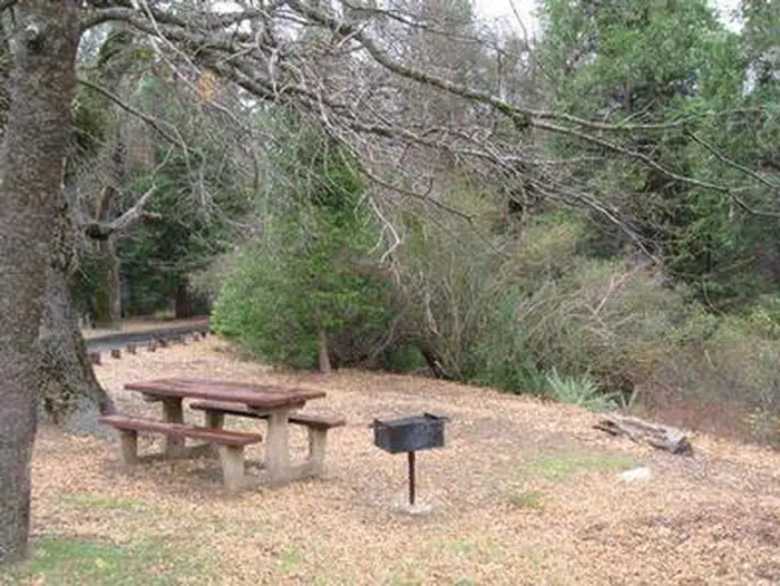 OBSERVATORY CAMPGROUND photo 5