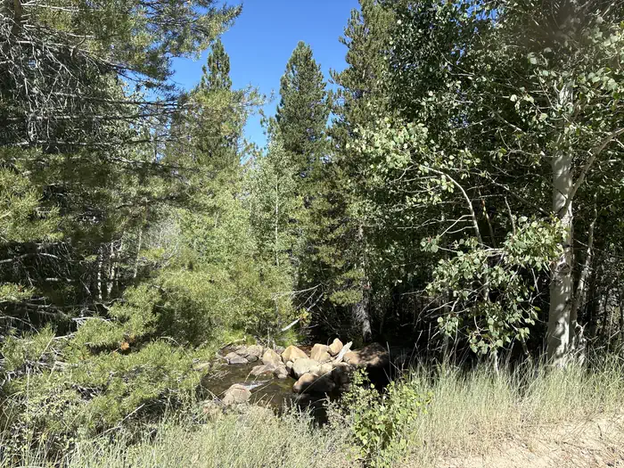 Obsidian photo 4