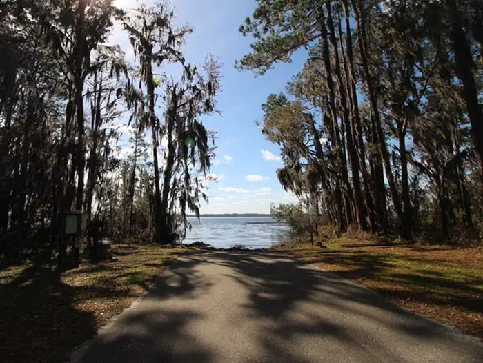 Ocean Pond Campground photo 2
