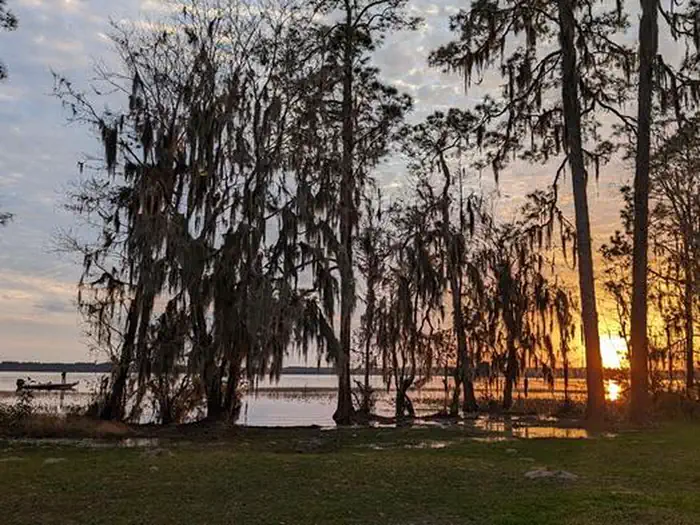 Ocean Pond Campground photo 3
