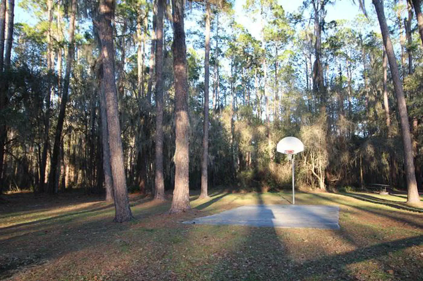 Ocean Pond Campground photo 5