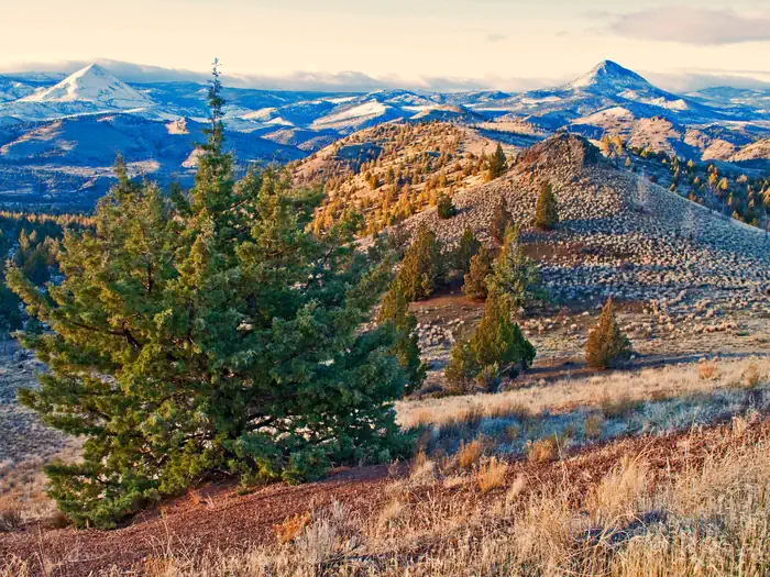 OCHOCO FOREST CAMP photo 2