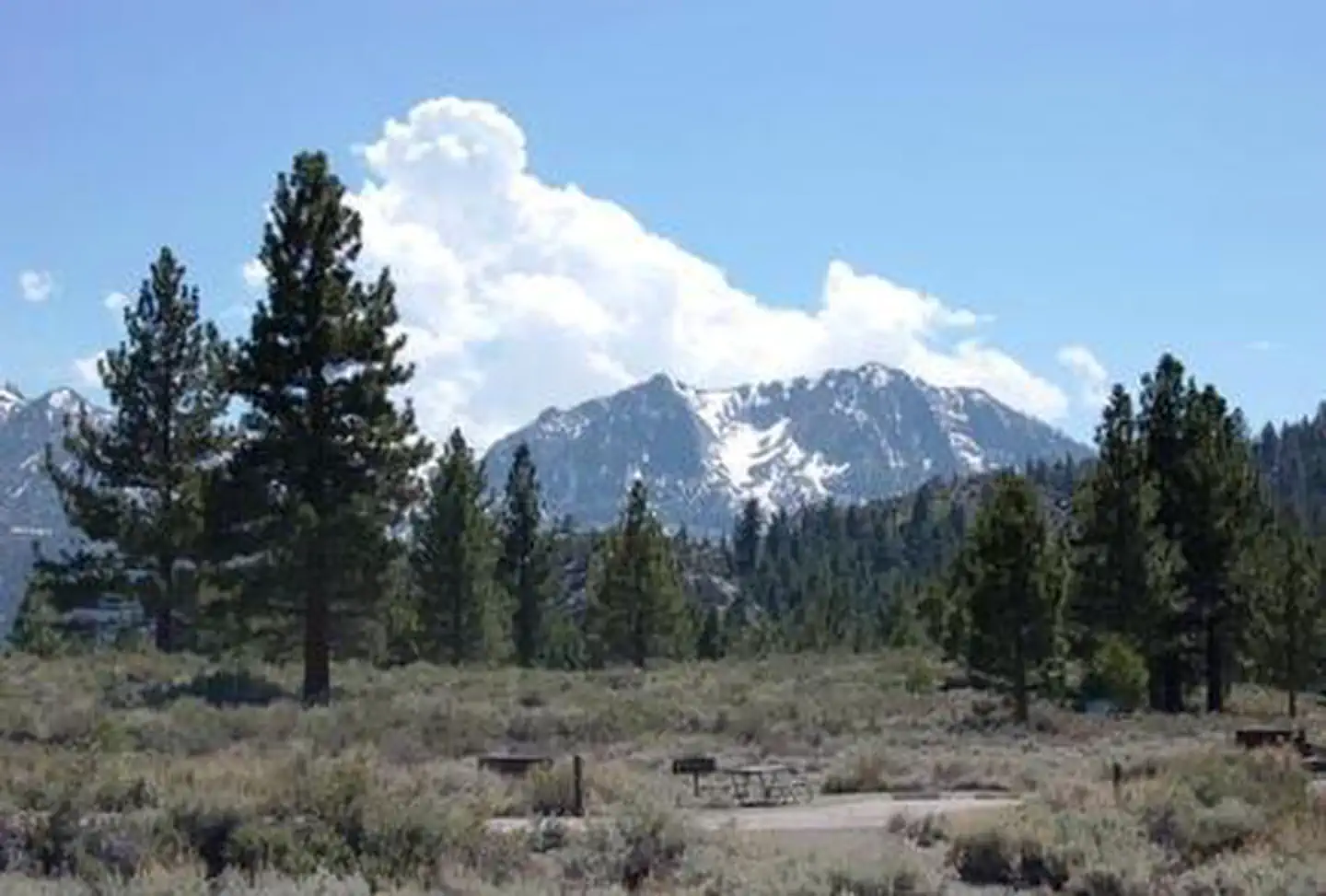 OH RIDGE photo 4