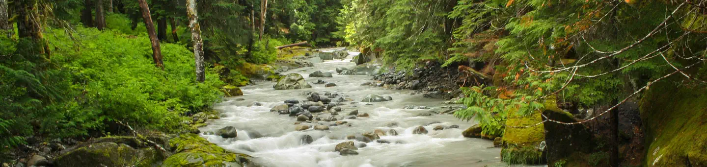 OHANAPECOSH CAMPGROUND photo