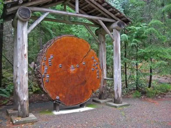 OHANAPECOSH GROUP CAMPGROUND photo 5