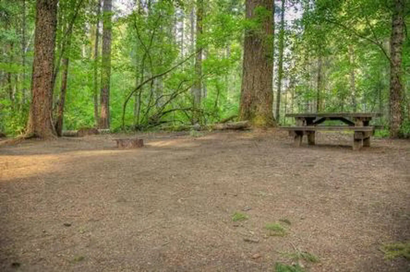 Oklahoma campground photo 5