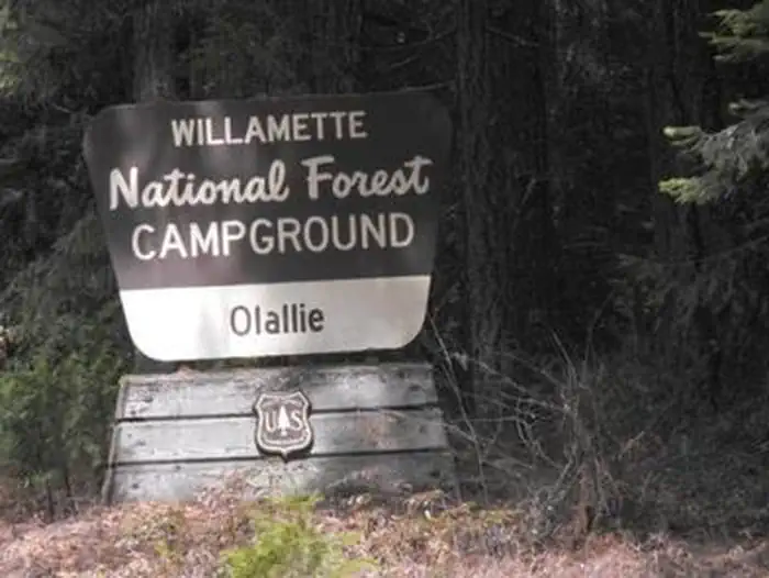 Olallie on McKenzie Highway - Willamette (OR) photo 2