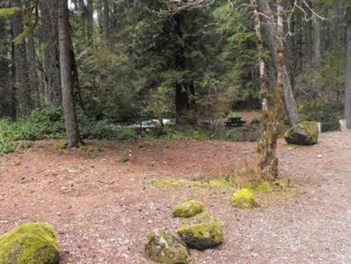 Olallie on McKenzie Highway - Willamette (OR) photo 4