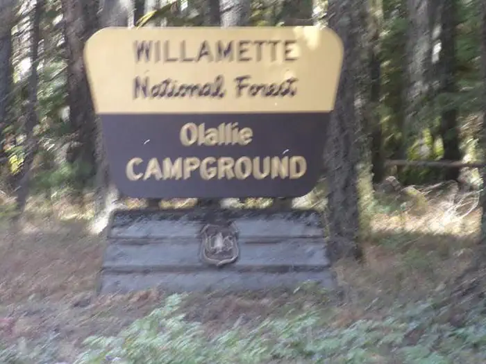 Olallie on McKenzie Highway - Willamette (OR) photo 5