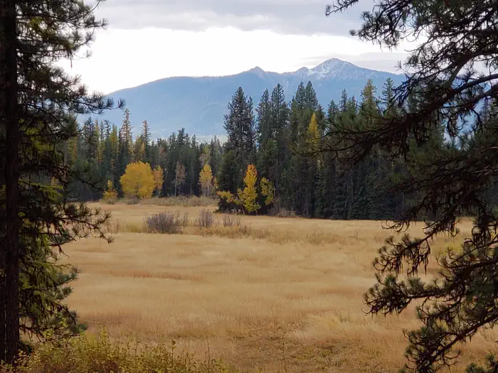 OLD CONDON RANGER STATION photo 3