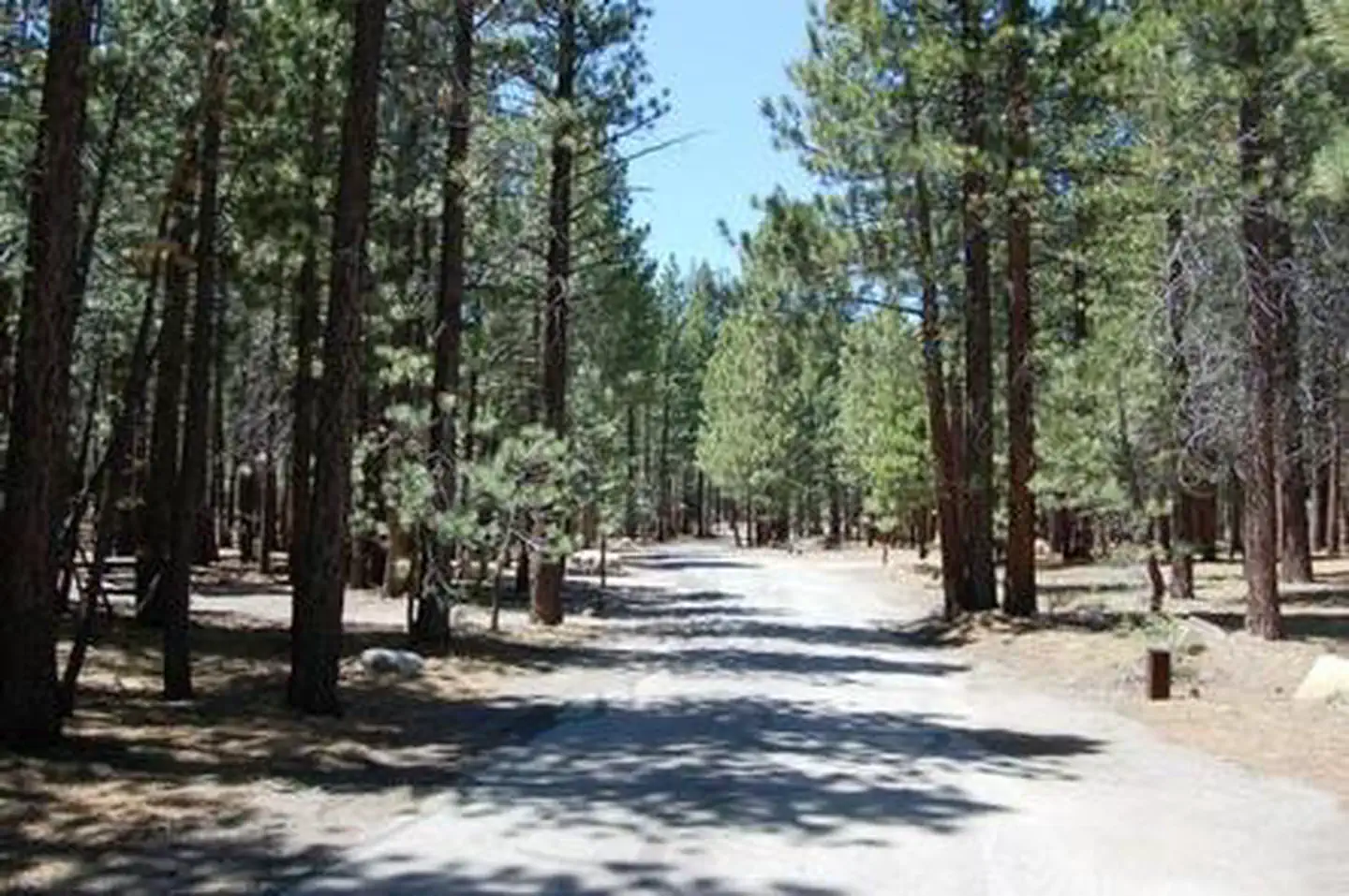 OLD SHADY REST CAMPGROUND photo 5