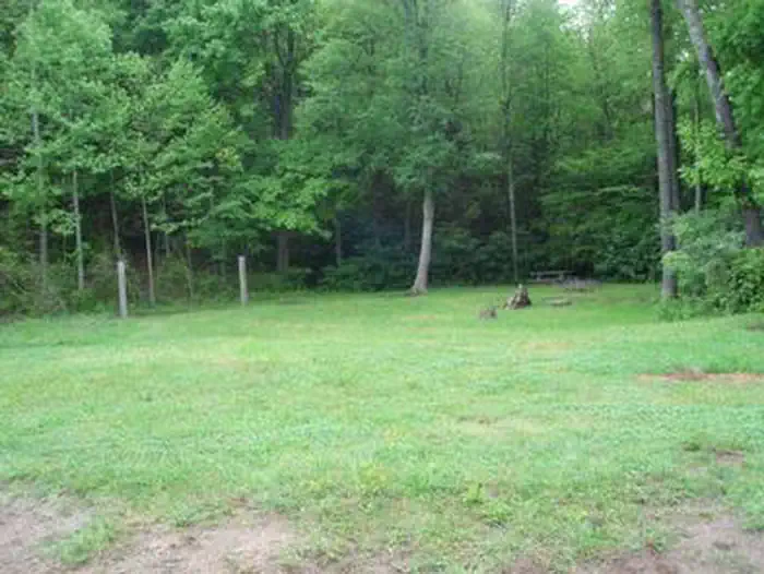 OLD VIRGINIA GROUP HORSE CAMP photo 2