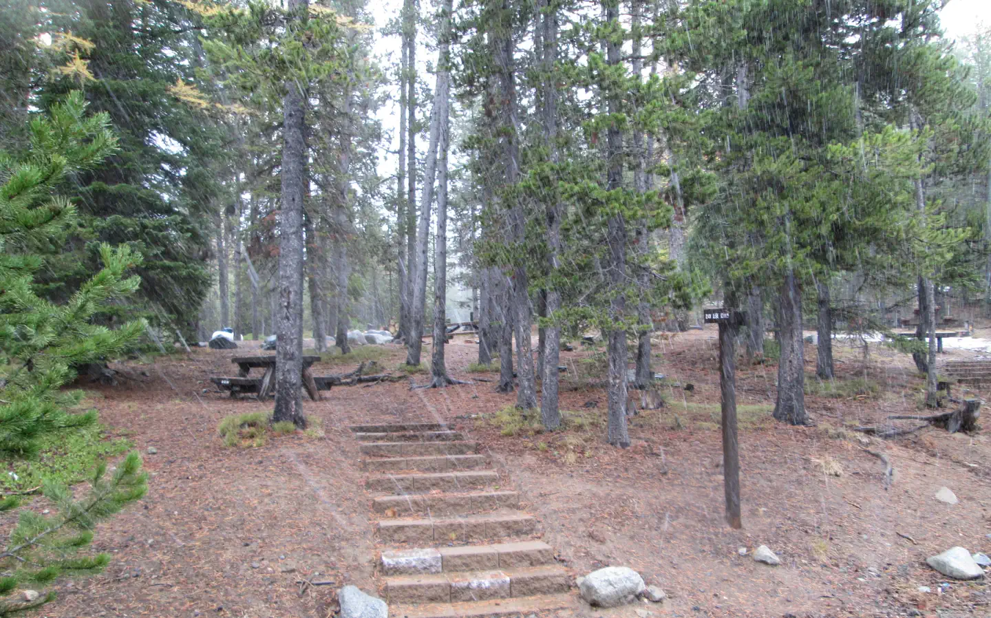 Olive Lake Campground (OR) photo 2