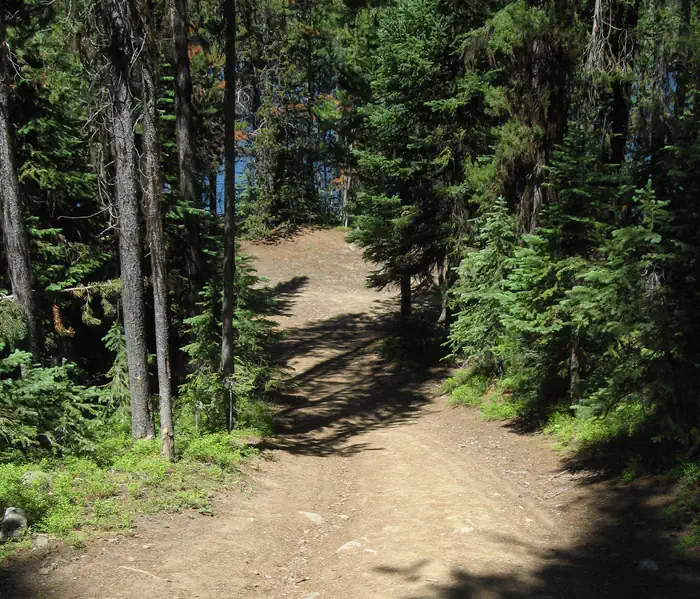 Olive Lake Campground (OR) photo 4