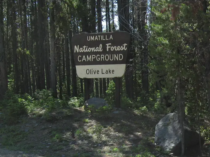 Olive Lake Campground (OR) photo 5