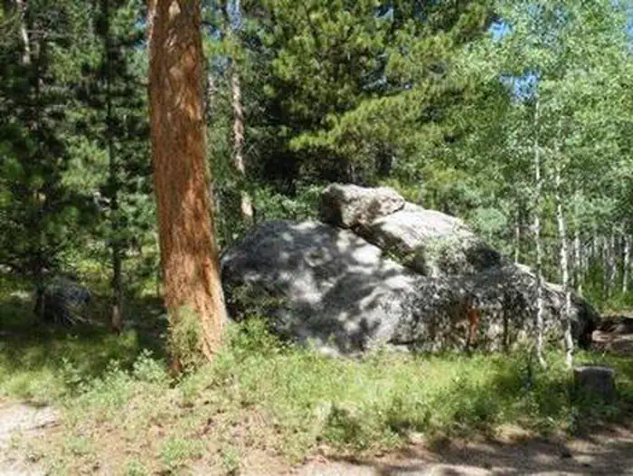 OLIVE RIDGE photo 2